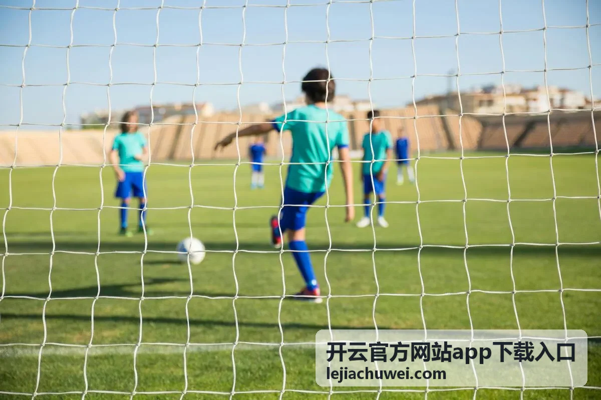 开云官方网站app下载入口 版本差异速查说明配图
